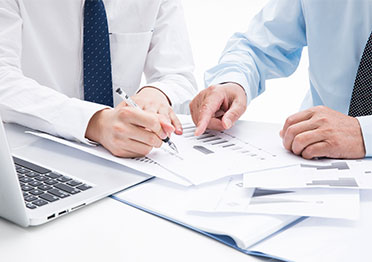 Sed mollis elementum lectus rhoncus mollis elementum lectus rhoncus mollis elementum lectus rhoncus 